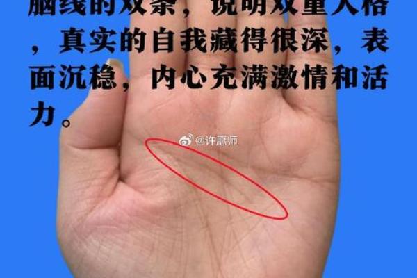 生命线算命：手掌上的玄机真能预测你的命运？