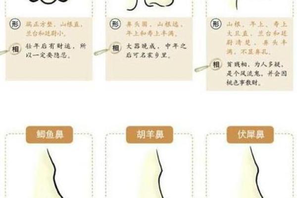 面相风水鹰钩鼻女人的好处和缺点