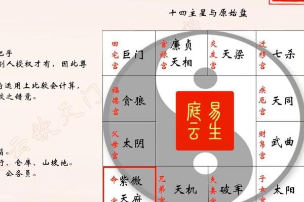 天府星在紫微斗数中的含义