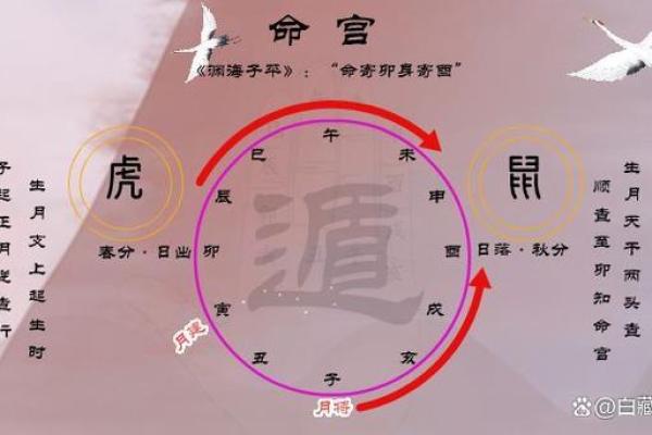 八字反推排盘，什么是八字反推？