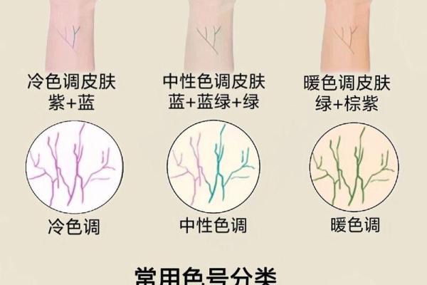 测试自己是什么肤色,测测你是什么肤色