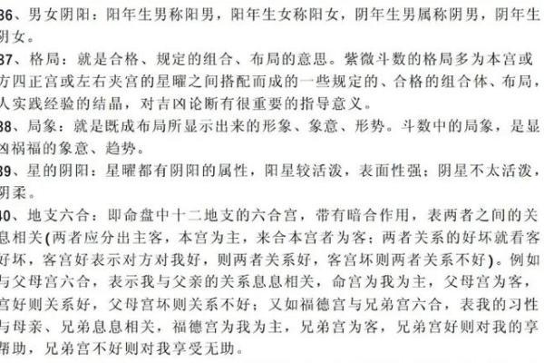 紫薇斗数基本术语见
