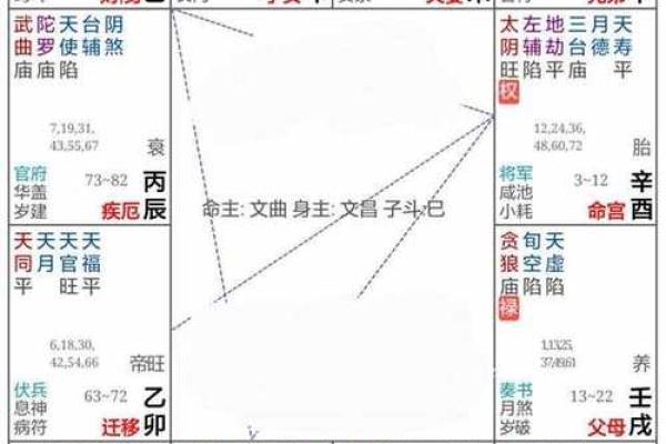 紫薇星命盘解读金牛座