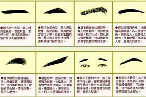 面相风水女人十大富贵眉毛你有吗