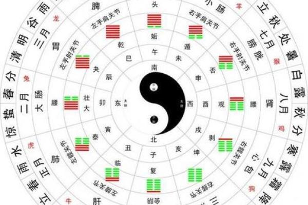 怎的八字