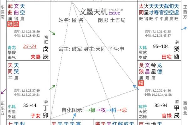 紫薇斗数看命运