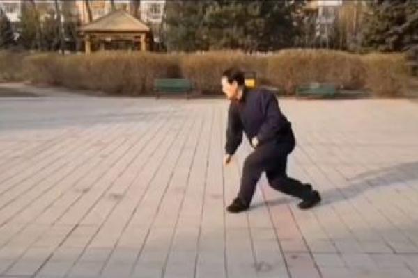 形意门秘传八字连环拳