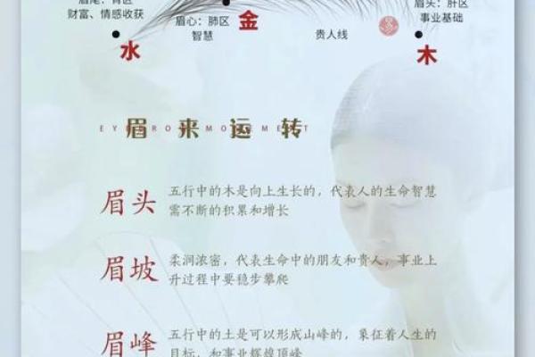 风水面相哪三种眉毛男人最好命