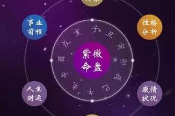 紫薇斗数元亨利贞