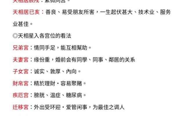 紫薇斗数服务