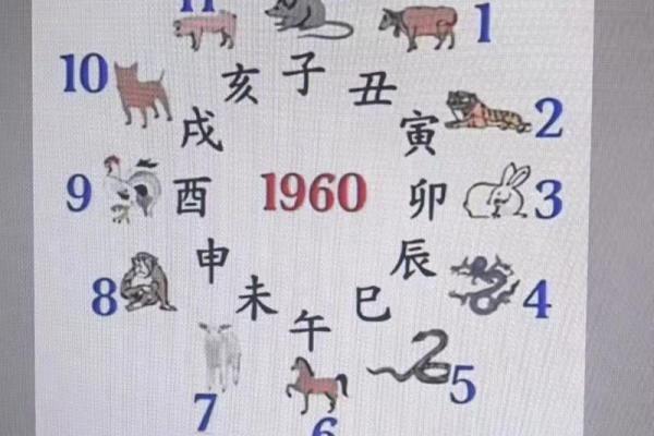 紫薇斗数服务