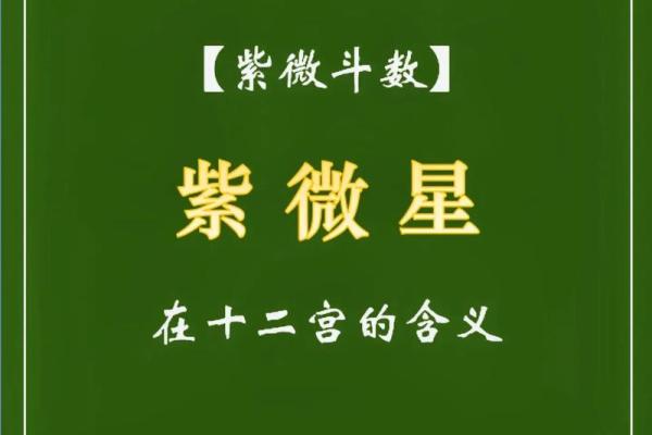 紫薇星贴吧