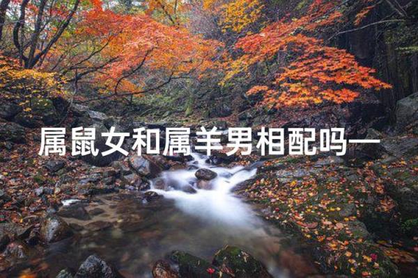 属羊和属鼠的八字合吗