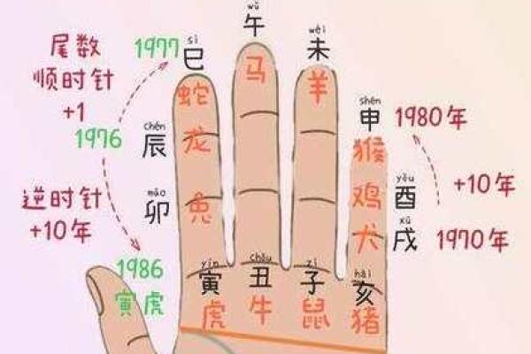 八字干支算命秘诀详解