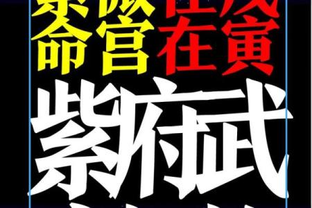 紫微斗数之活用斗数预测生活百事- 测事速断捷法