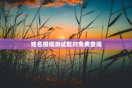 姓名配对免费app 姓名配对免费测试？