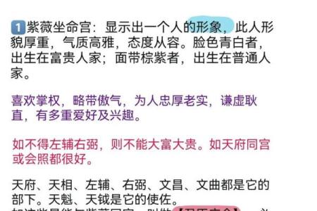 紫薇星明什么意思