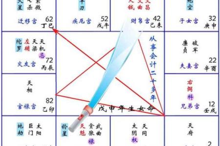 紫薇斗数网上命例