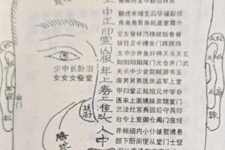面相解析：额头面相算命图解