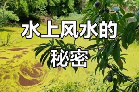 西边有池塘风水