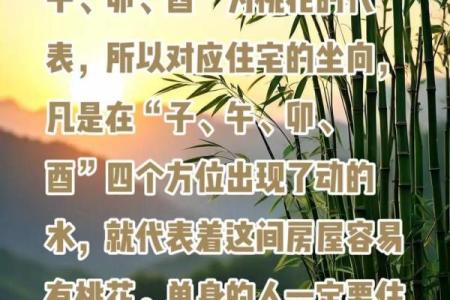 风水为什么戴桃木容易招鬼观点解释