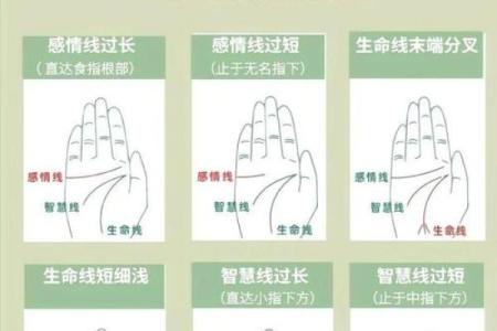 生命线算命：手掌上的玄机真能预测你的命运？
