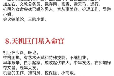 天府星在紫微斗数中的含义