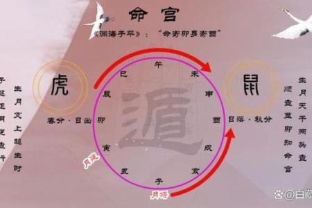 八字反推排盘，什么是八字反推？