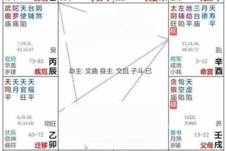 紫薇星命盘解读金牛座