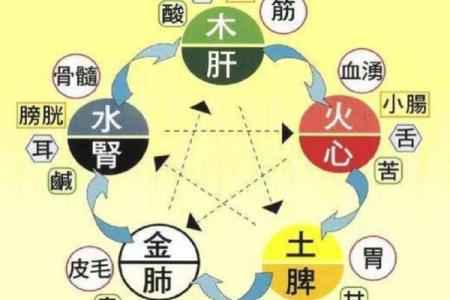 八字与疾病的关系，易生病的八字有哪些特征？_1