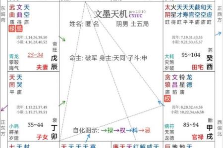 紫薇斗数看命运