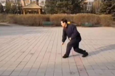 形意门秘传八字连环拳