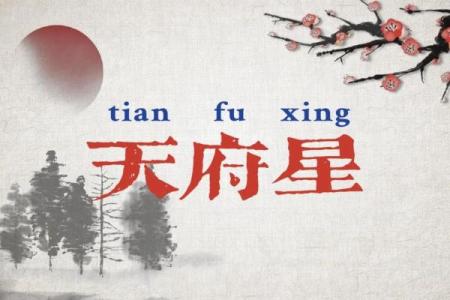 天府紫薇斗数