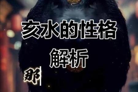 八字亥水是什么水,八字亥水是什么意思