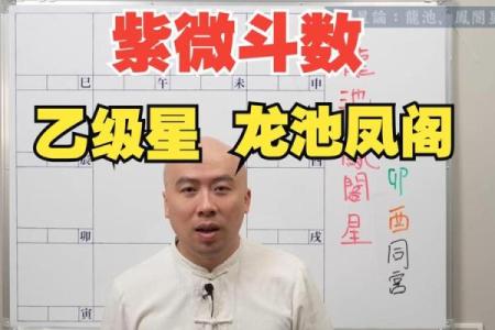紫微斗数诸星落命宫之：龙池、凤阁星详解