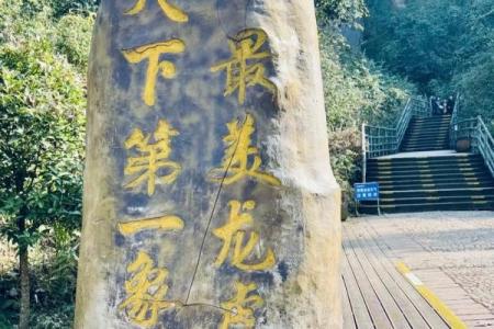 龙虎山算命找谁,龙虎山有道士算命吗