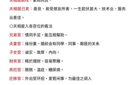 紫薇斗数服务