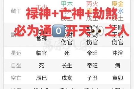 八字排盘APP下载