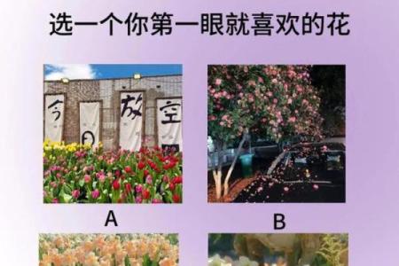 生命灵数测试我适合哪个城市