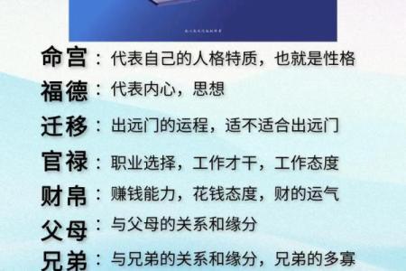 紫微斗数十四主星：天相星概论