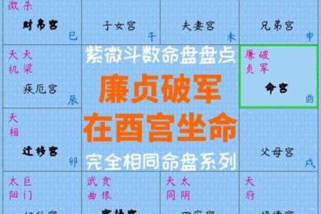 紫微斗数诸星落诸宫之：廉贞星官禄宫详解