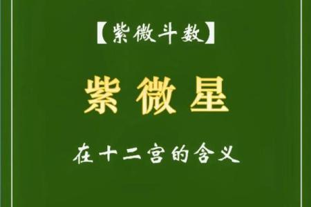 紫薇星贴吧