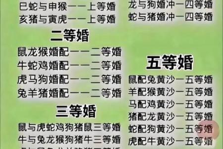 属羊和属鼠的八字合吗