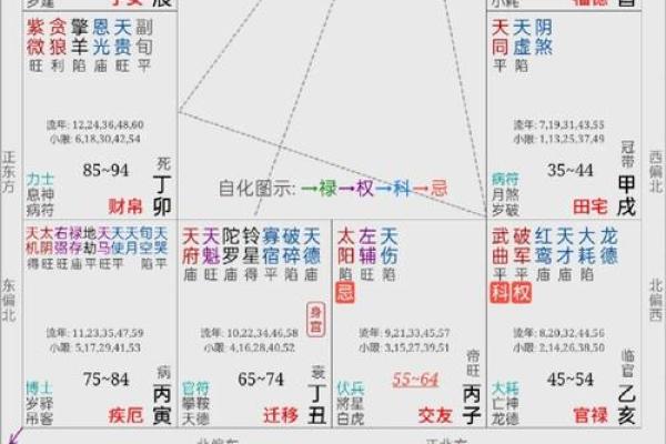 紫薇斗数的迁移
