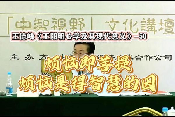 王德峰讲座八字命理