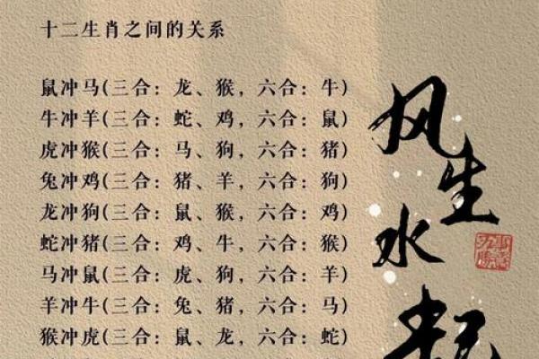 属鼠和属鸡的八字合不合得来,属鸡的跟属鼠的合财吗