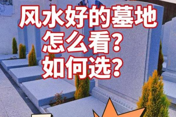 风水大地_风水宝地的意思
