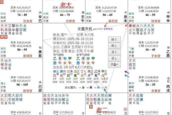 紫微斗数太阳星在各宫的影响