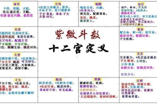 紫薇斗数文书位