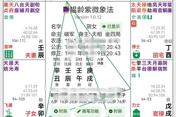 紫薇斗数的格局